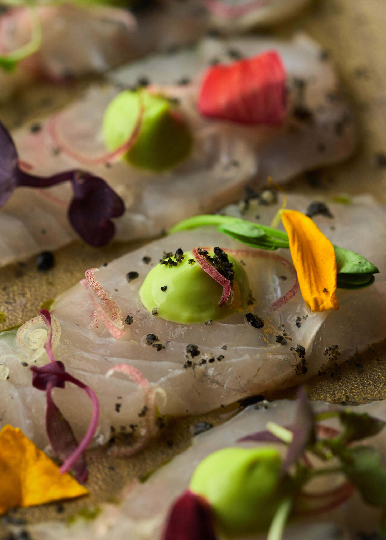 deep-sleep-studio-azabu-miami-beach-sashimi-plan-do-see deep-sleep-studio-azabu-miami-beach-sashimi-plan-do-see