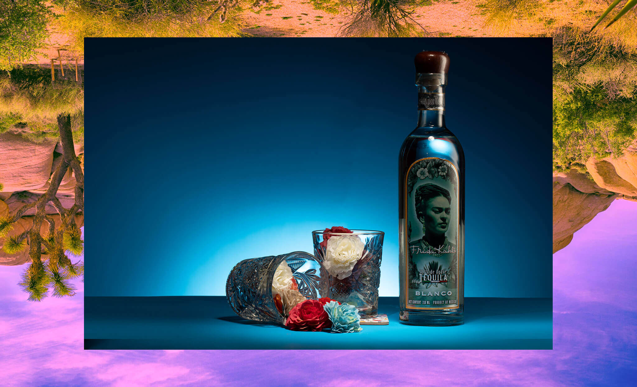 deep-sleep-studio-frida-kahlo-tequila-2048x1245-2 deep-sleep-studio-frida-kahlo-tequila-2048x1245-2