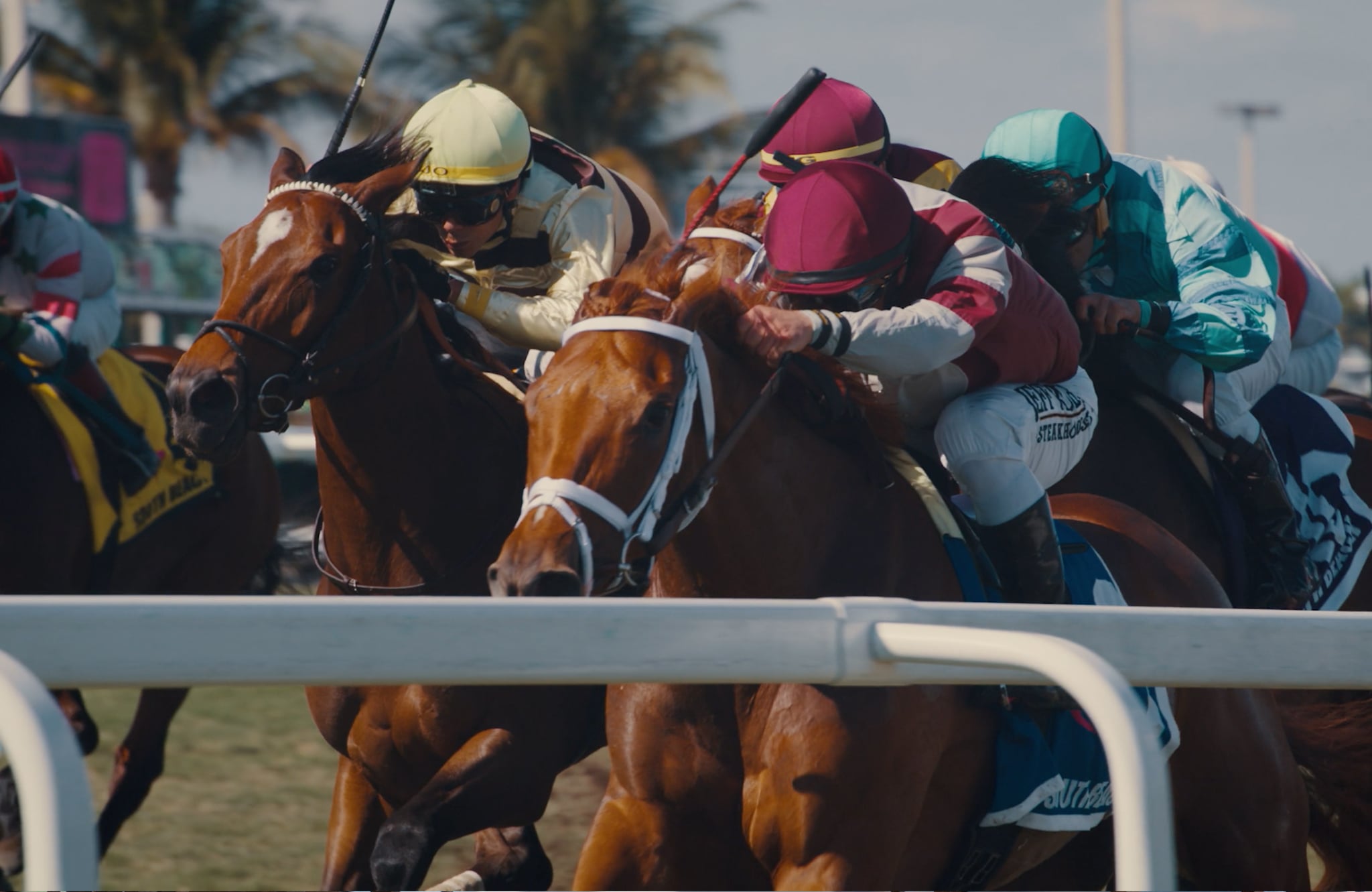 PEGASUS WORLD CUP deep-sleep-studio-pegasus-world-cup-works