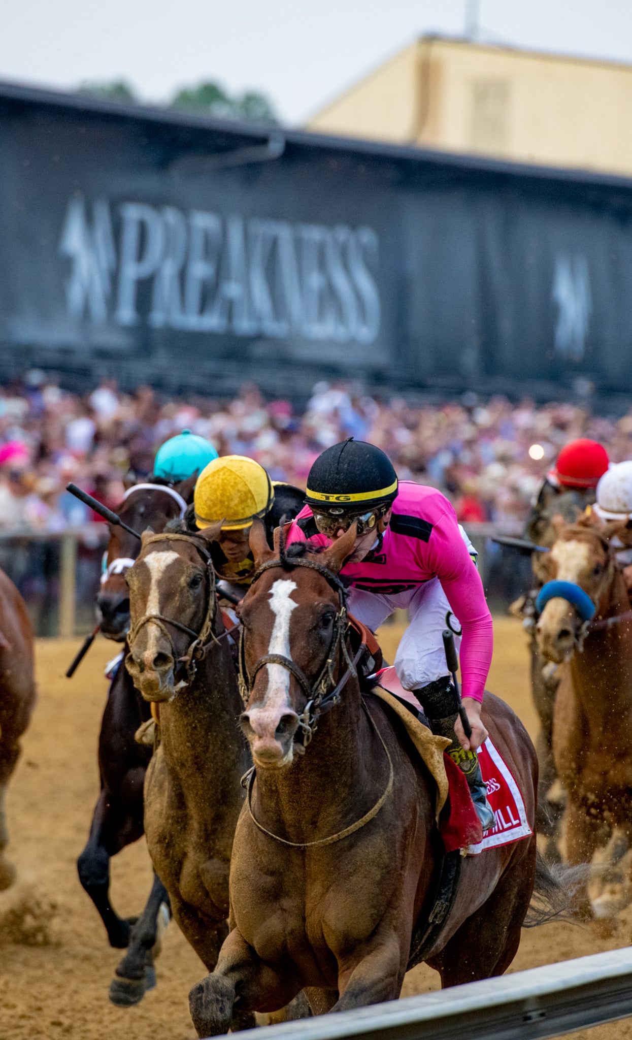 deep-sleep-studio-preakness-stakes-jockey-war-of-will-race deep-sleep-studio-preakness-stakes-jockey-war-of-will-race
