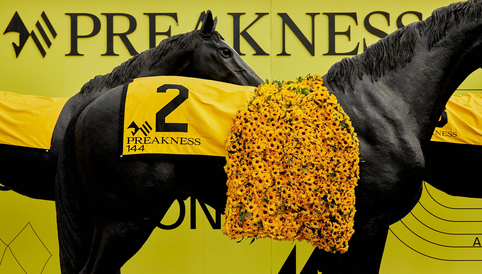 deep-sleep-studio-preakness-wide-thoroughbred-display