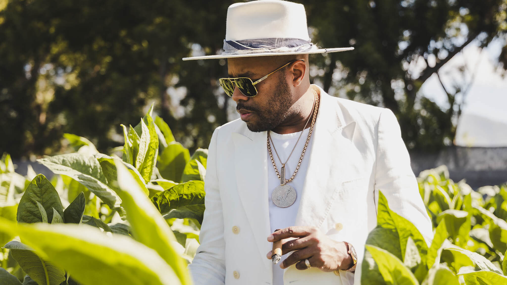 DNice-Avo-Cigars-DeepSleep-Studio-Dominican Republic-fields2 DNice-Avo-Cigars-DeepSleep-Studio-Dominican Republic-fields2